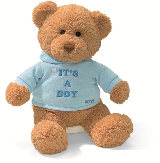 it-s-a-boy-or-girl-teddy-bears-direct